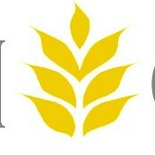 Team Page: Grain Craft